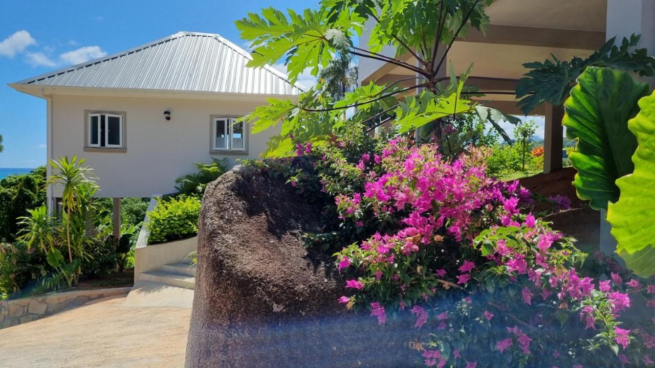 La Trouvaille Lejlighedshotel Anse a La Mouche Eksteriør billede
