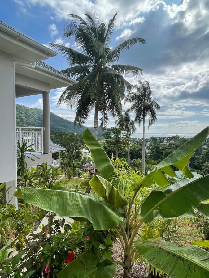 La Trouvaille Lejlighedshotel Anse a La Mouche Eksteriør billede